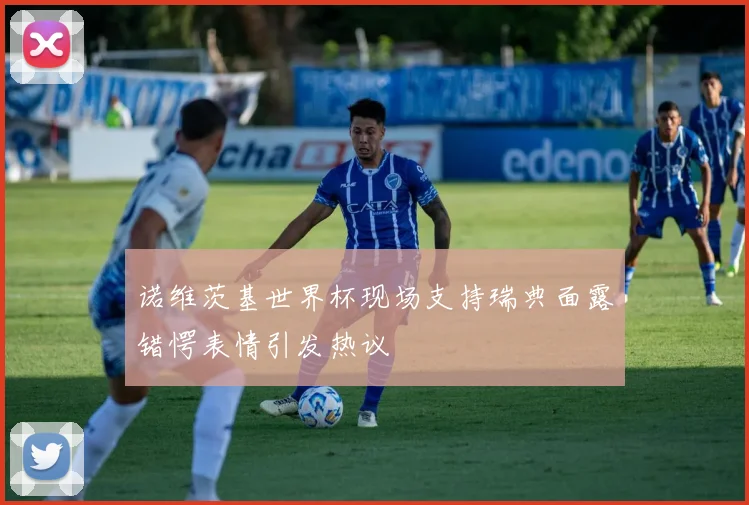 诺维茨基世界杯现场支持瑞典面露错愕表情引发热议