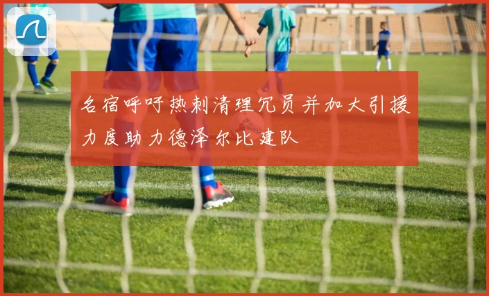 名宿呼吁热刺清理冗员并加大引援力度助力德泽尔比建队